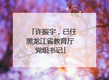 许振宇，已任黑龙江省教育厅党组书记